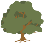 Oak tree graphic