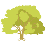 Beech tree graphic