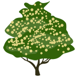 Elder tree graphic