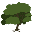 Ash tree graphic